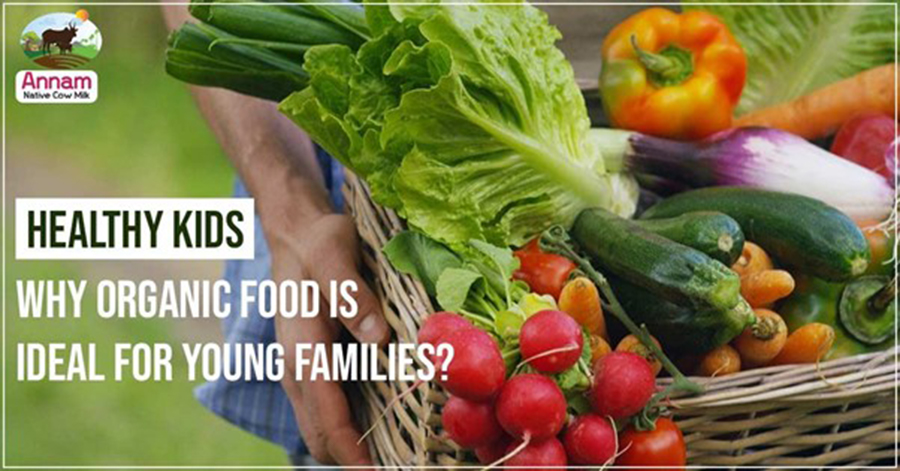 Organic Food Is Ideal For Young Families