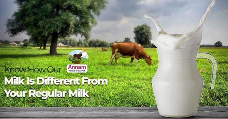 Know How Our Milk Is Different From Your Regular Milk